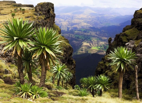 О турагентстве